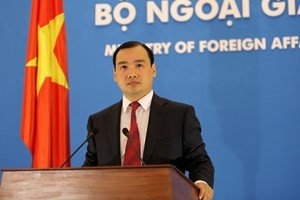 US’s evaluations on human rights in Vietnam inaccurate - ảnh 1